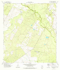 preview thumbnail of historical topo map of Dimmit County, TX in 1974