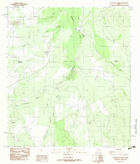 Download a high-resolution, GPS-compatible USGS topo map for Velenzuela Creek, TX (1982 edition)