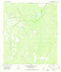 Download a high-resolution, GPS-compatible USGS topo map for Venado Creek East, TX (1980 edition)