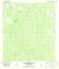 Download a high-resolution, GPS-compatible USGS topo map for Venado Creek West, TX (1980 edition)