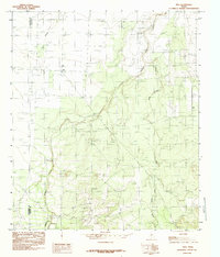 Download a high-resolution, GPS-compatible USGS topo map for Vick, TX (1984 edition)