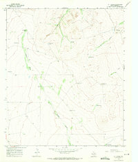 Download a high-resolution, GPS-compatible USGS topo map for W T Ranch, TX (1971 edition)
