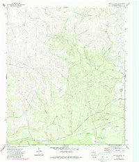 Download a high-resolution, GPS-compatible USGS topo map for Wallace Draw, TX (1987 edition)