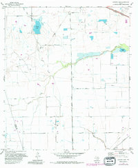 Download a high-resolution, GPS-compatible USGS topo map for Warren Lake, TX (1980 edition)