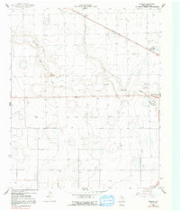 preview thumbnail of historical topo map of Hale County, TX in 1965