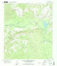 preview thumbnail of historical topo map of Houston County, TX in 1973