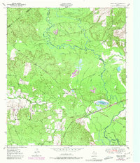 Download a high-resolution, GPS-compatible USGS topo map for Wells SW, TX (1980 edition)