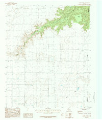Download a high-resolution, GPS-compatible USGS topo map for Wesley Point, TX (1984 edition)