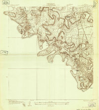 Download a high-resolution, GPS-compatible USGS topo map for West Brownsville, TX (1930 edition)