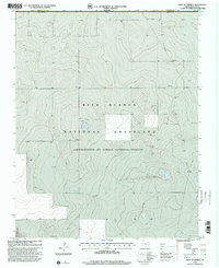 Download a high-resolution, GPS-compatible USGS topo map for West of Kerrick, TX (2001 edition)