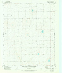 Download a high-resolution, GPS-compatible USGS topo map for Westway NE, TX (1973 edition)