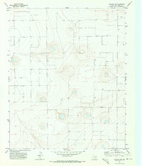 Download a high-resolution, GPS-compatible USGS topo map for Westway NW, TX (1973 edition)
