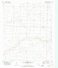 Download a high-resolution, GPS-compatible USGS topo map for Westway, TX (1973 edition)