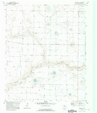 Download a high-resolution, GPS-compatible USGS topo map for Westway, TX (1992 edition)