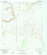 Download a high-resolution, GPS-compatible USGS topo map for Whirlwind Spring, TX (1984 edition)
