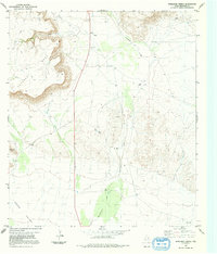 Download a high-resolution, GPS-compatible USGS topo map for Whirlwind Spring, TX (1991 edition)
