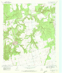 preview thumbnail of historical topo map of Fisher County, TX in 1969