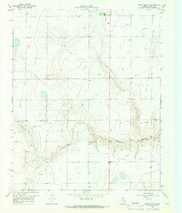 Download a high-resolution, GPS-compatible USGS topo map for White Deer SW, TX (1967 edition)