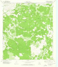 Download a high-resolution, GPS-compatible USGS topo map for White Draw NE, TX (1976 edition)