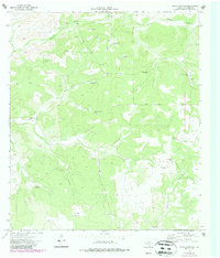 Download a high-resolution, GPS-compatible USGS topo map for White Draw NE, TX (1987 edition)