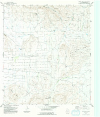 Download a high-resolution, GPS-compatible USGS topo map for White Hills, TX (1991 edition)