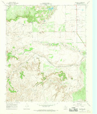 Download a high-resolution, GPS-compatible USGS topo map for Whiteflat, TX (1970 edition)