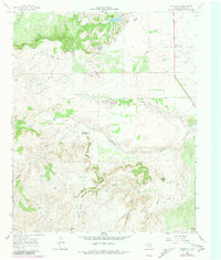 Download a high-resolution, GPS-compatible USGS topo map for Whiteflat, TX (1981 edition)