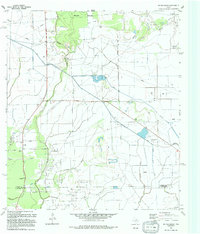 preview thumbnail of historical topo map of Liberty County, TX in 1994