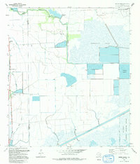 Download a high-resolution, GPS-compatible USGS topo map for Whites Ranch, TX (1994 edition)