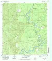 Download a high-resolution, GPS-compatible USGS topo map for Wiergate SE, TX (1985 edition)