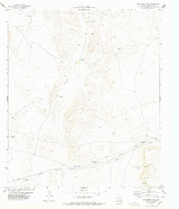 Download a high-resolution, GPS-compatible USGS topo map for Wildhorse Draw, TX (1978 edition)