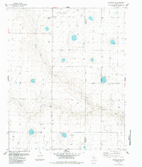 Download a high-resolution, GPS-compatible USGS topo map for Wildorado SW, TX (1984 edition)