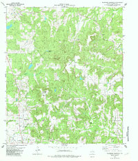 Download a high-resolution, GPS-compatible USGS topo map for Wilkerson Mountain, TX (1982 edition)