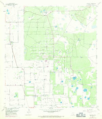 Download a high-resolution, GPS-compatible USGS topo map for Willamar, TX (1971 edition)
