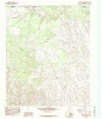 Download a high-resolution, GPS-compatible USGS topo map for Willow Arroyo, TX (1985 edition)