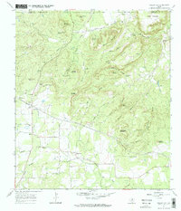 Download a high-resolution, GPS-compatible USGS topo map for Willow City, TX (1970 edition)