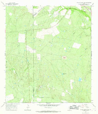 Download a high-resolution, GPS-compatible USGS topo map for Willow Hollow Tank, TX (1968 edition)