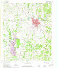 1960 Map of Winnsboro, 1980 Print