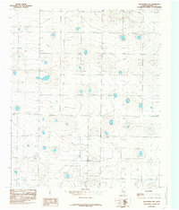 Download a high-resolution, GPS-compatible USGS topo map for Wolfforth NW, TX (1985 edition)