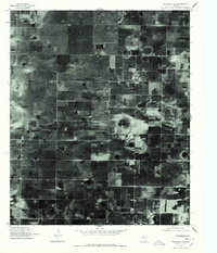 Download a high-resolution, GPS-compatible USGS topo map for Wolfforth SW, TX (1978 edition)