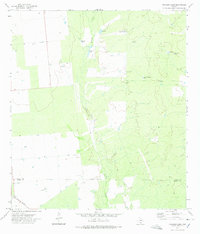 Download a high-resolution, GPS-compatible USGS topo map for Woodard Lake, TX (1975 edition)