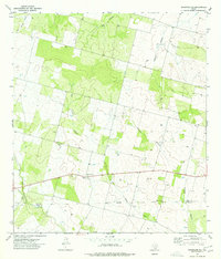 Download a high-resolution, GPS-compatible USGS topo map for Woodward NE, TX (1977 edition)