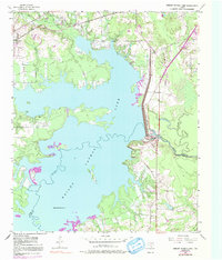 Download a high-resolution, GPS-compatible USGS topo map for Wright Patman Lake, TX (1991 edition)