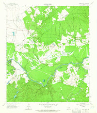 Download a high-resolution, GPS-compatible USGS topo map for Wyser Bottom, TX (1965 edition)