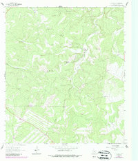 Download a high-resolution, GPS-compatible USGS topo map for Y O Ranch, TX (1987 edition)