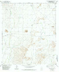 Download a high-resolution, GPS-compatible USGS topo map for Yellow House Peak, TX (1984 edition)