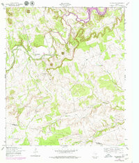 Download a high-resolution, GPS-compatible USGS topo map for Youngsport, TX (1979 edition)