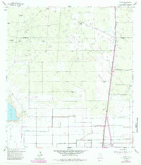Download a high-resolution, GPS-compatible USGS topo map for Yturria, TX (1984 edition)