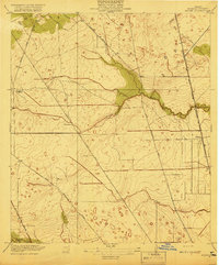 Download a high-resolution, GPS-compatible USGS topo map for Aldine, TX (1919 edition)