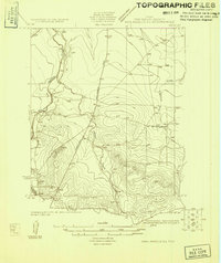 preview thumbnail of historical topo map of Tom Green County, TX in 1924